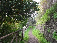 cantara gurne23122011 068